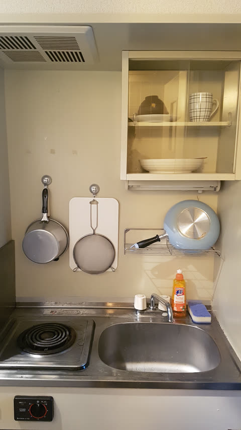 A compact kitchenette includes a single electric stovetop, a small sink, and an overhead cabinet with dishes.