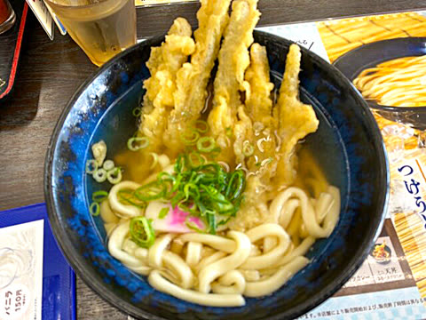 Bowl of udon noodles and tempura served in broth.