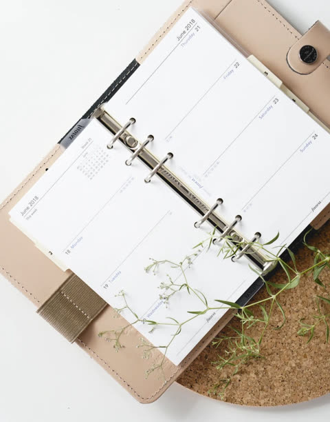 Open planner showing June 2018 dates,  with small plants resting on it.